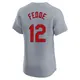 Elite Men's Erick Fedde Gray St. Louis Cardinals Road Jersey